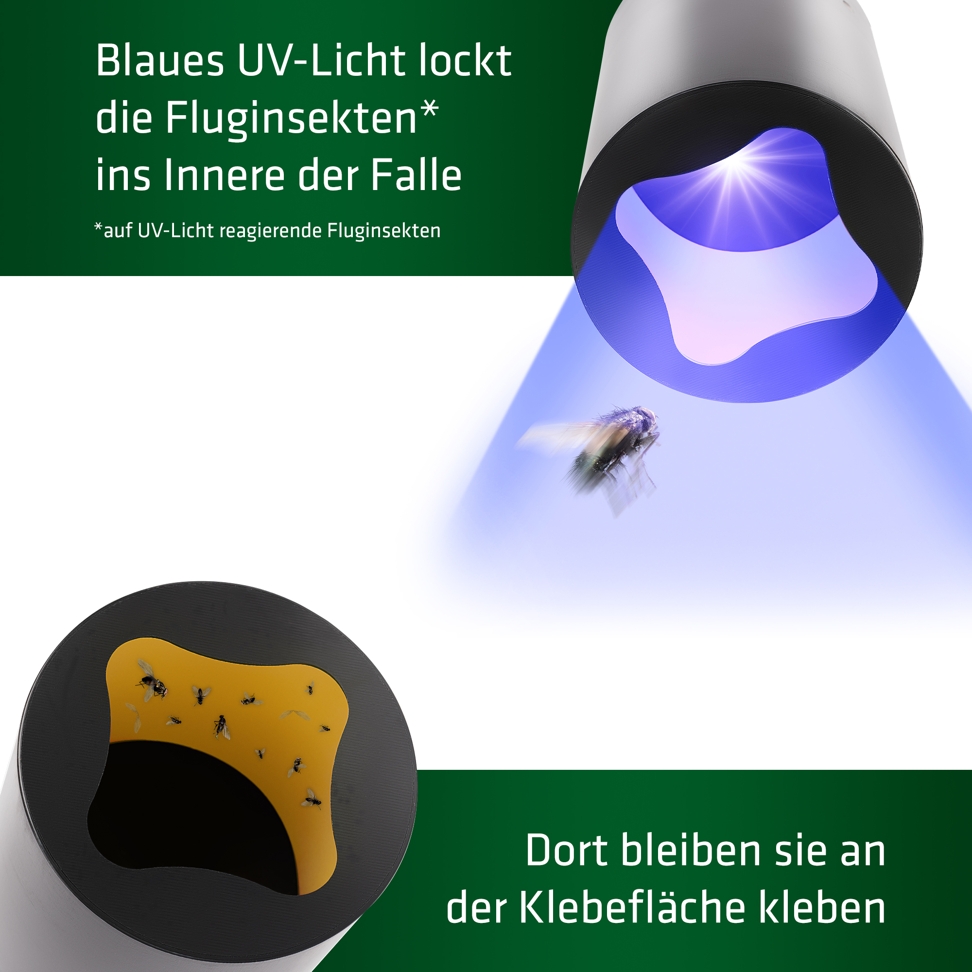 …und schon ist die Insektenfalle einsatzbereit!