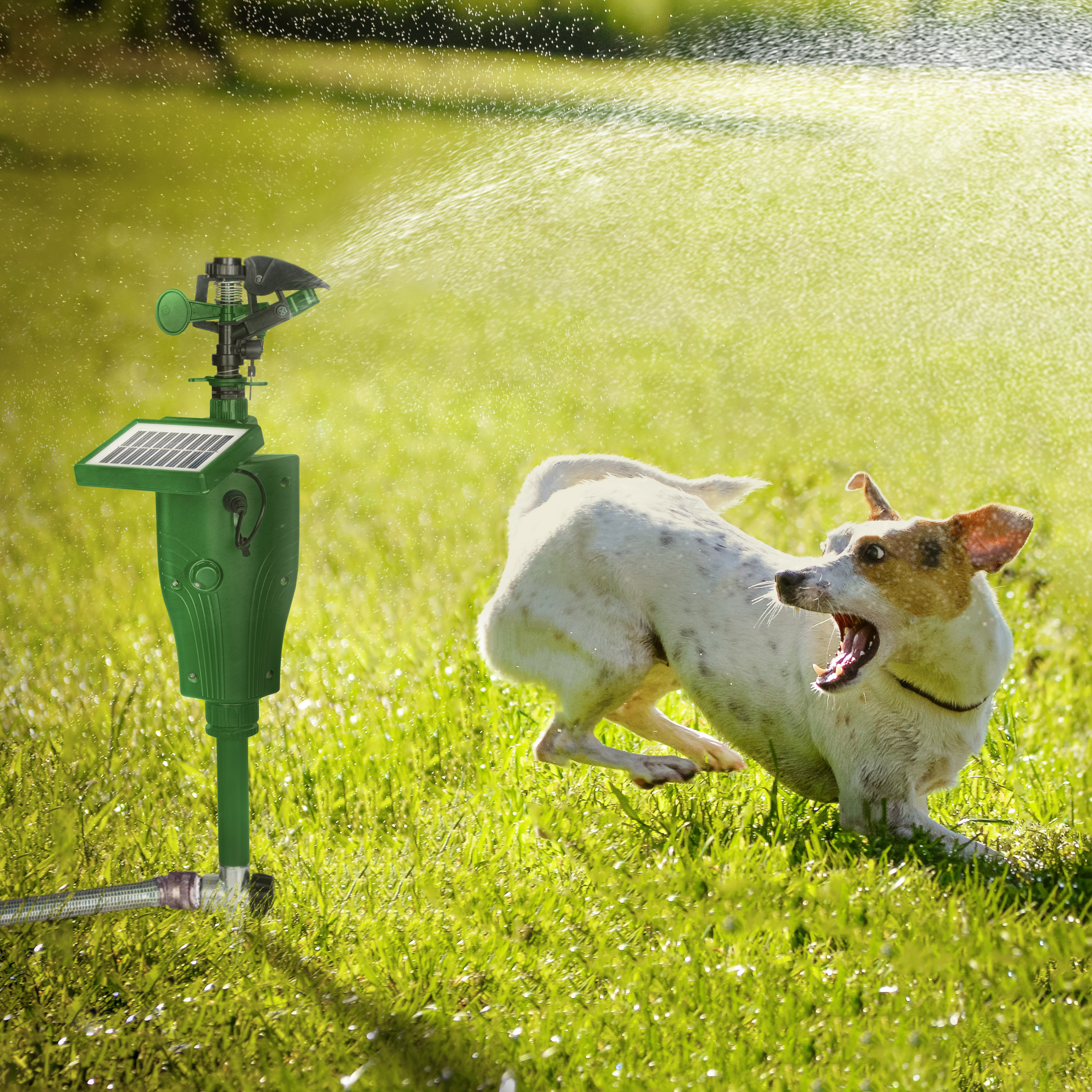 Wehrt fremde Hunde in Ihrem Garten ab.