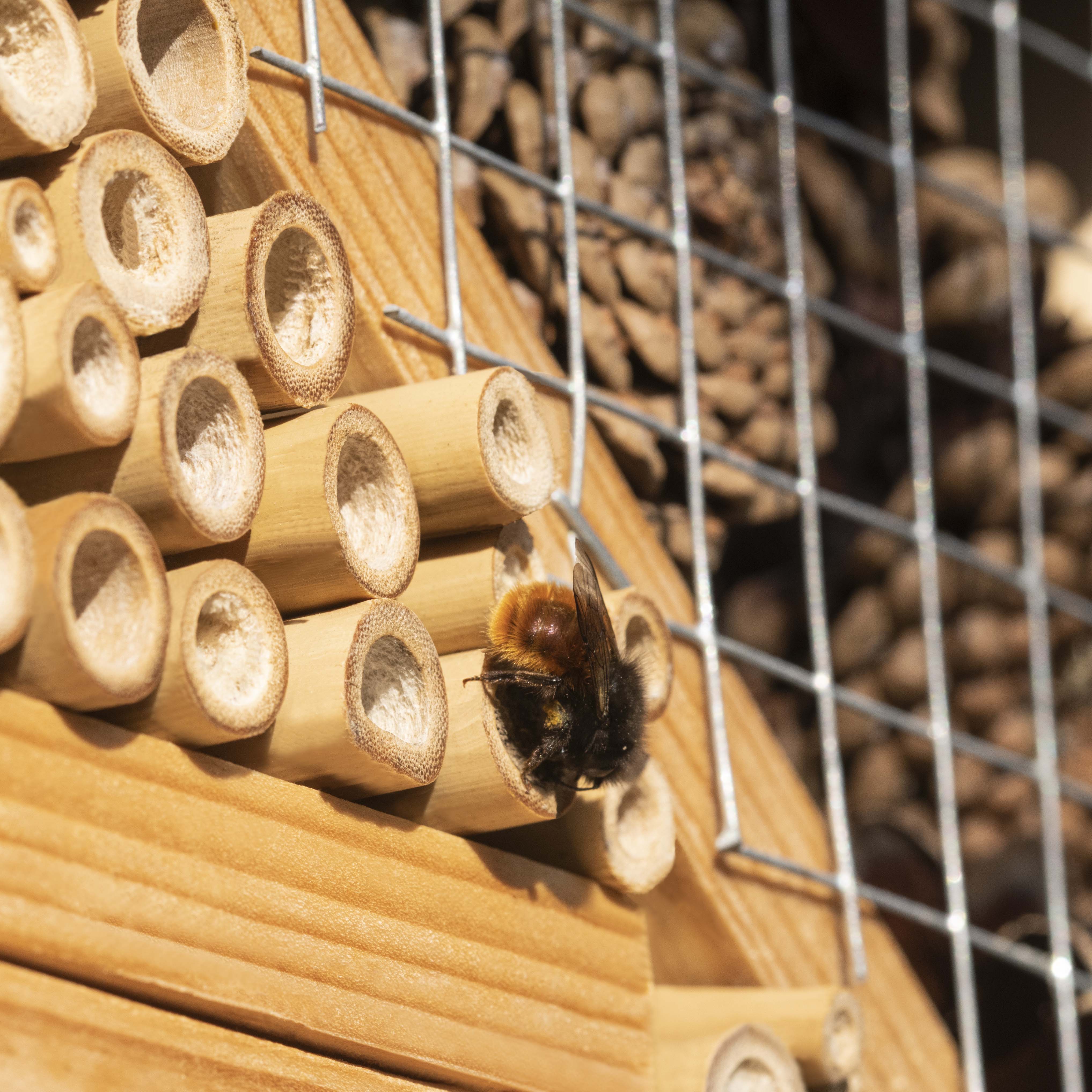 Bambus, Holzwolle, Lavendel, Holzschnitze und Lehmsteine sind nur einige der vielen Möglichkeiten. 