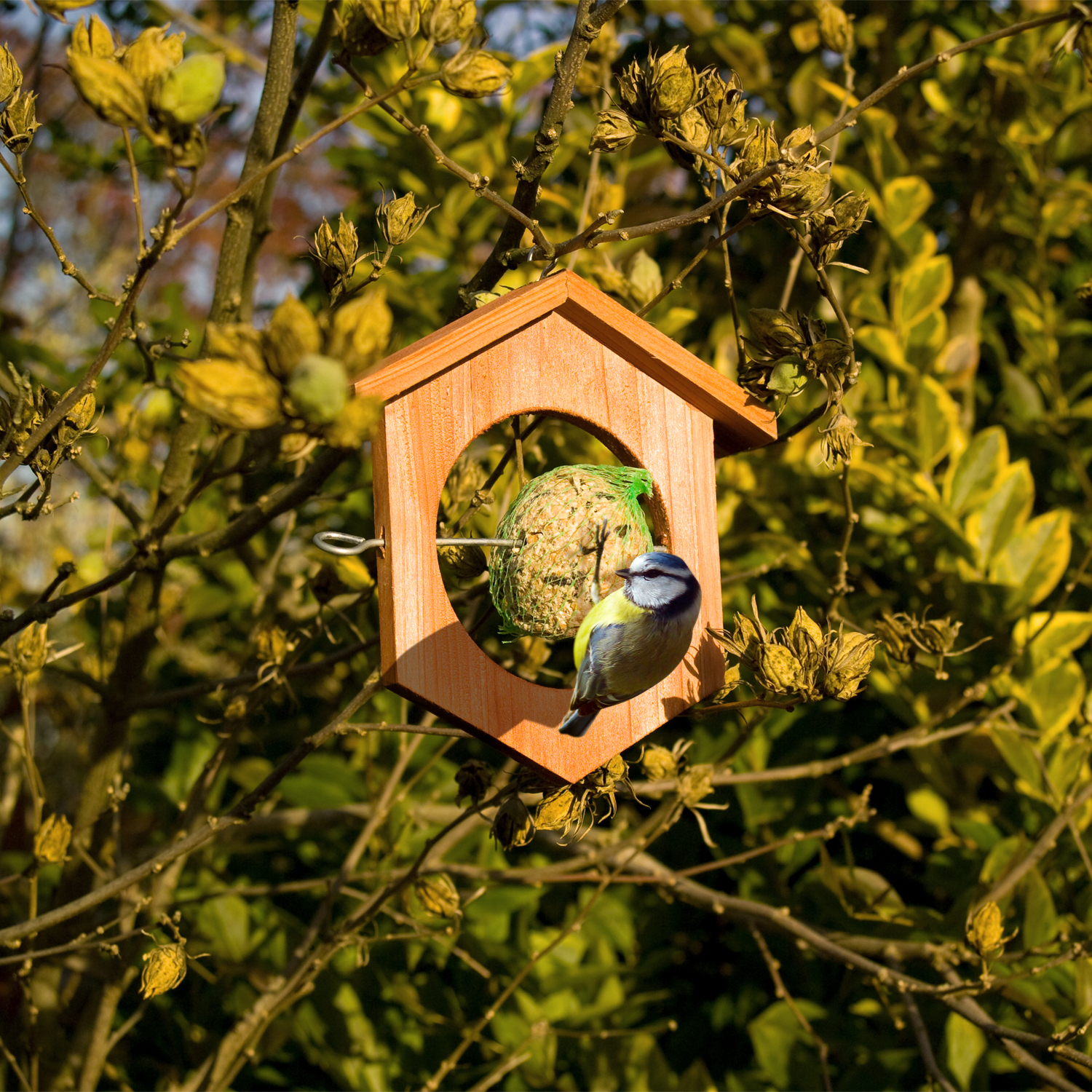 In den kalten Monaten geht das natürliche Nahrungsangebot für die vielen Vögel zurück und sie brauchen weitere Nahrungsquellen. 