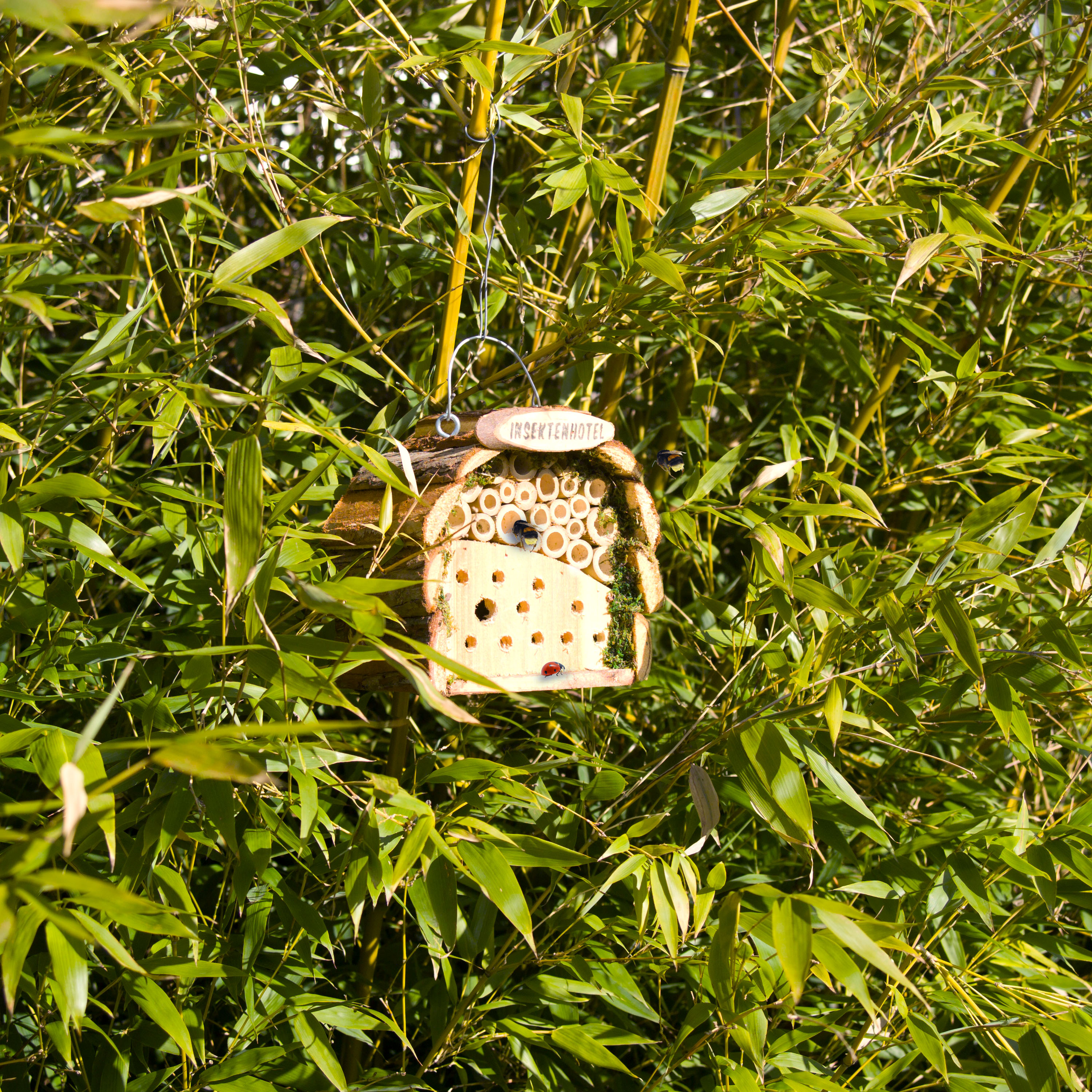 Die verschiedenen Lochgrößen sind optimal für die verschiedenen Wildbienenarten in Deutschland.