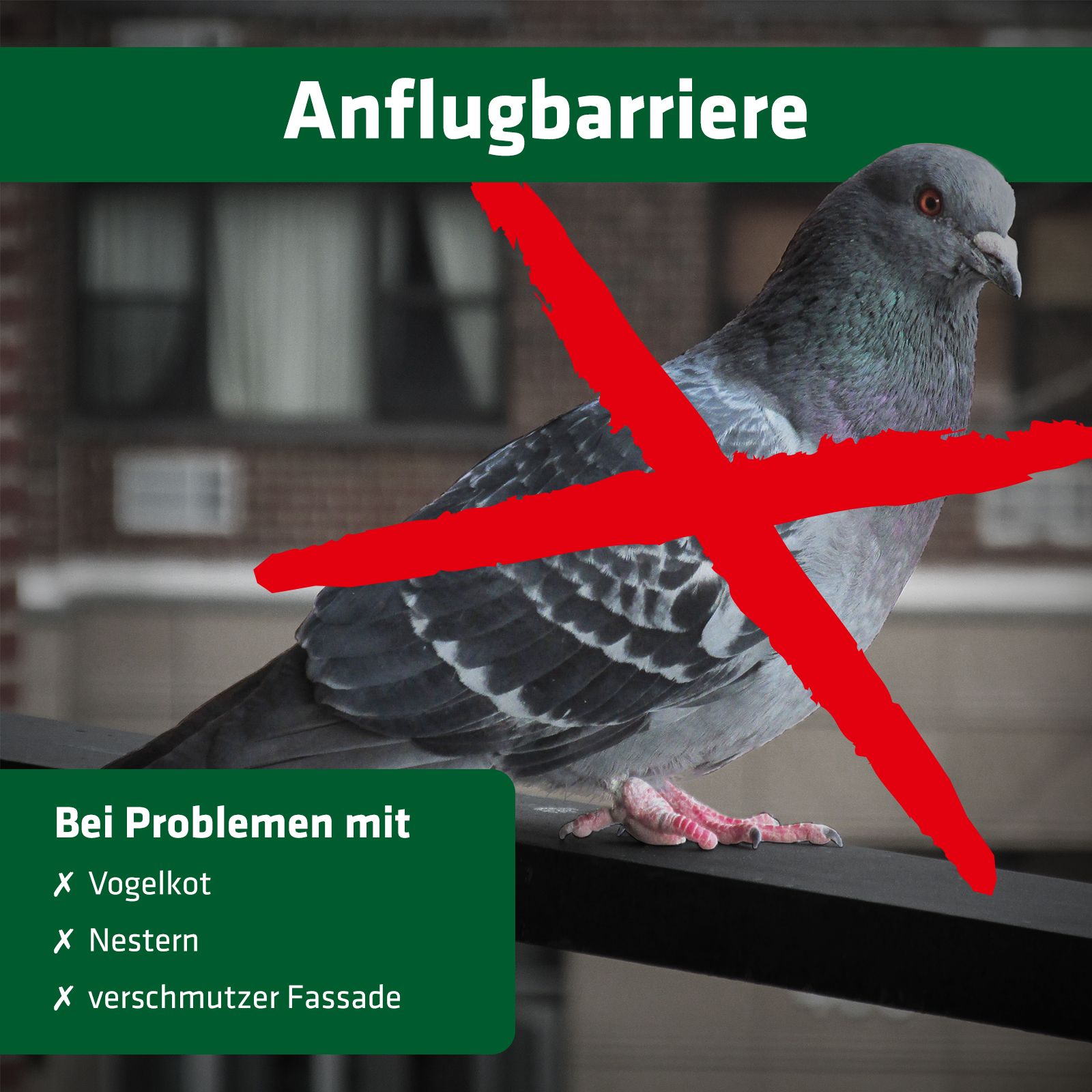 Die Vogelspikes sind eine Anflug- und Landebarriere.