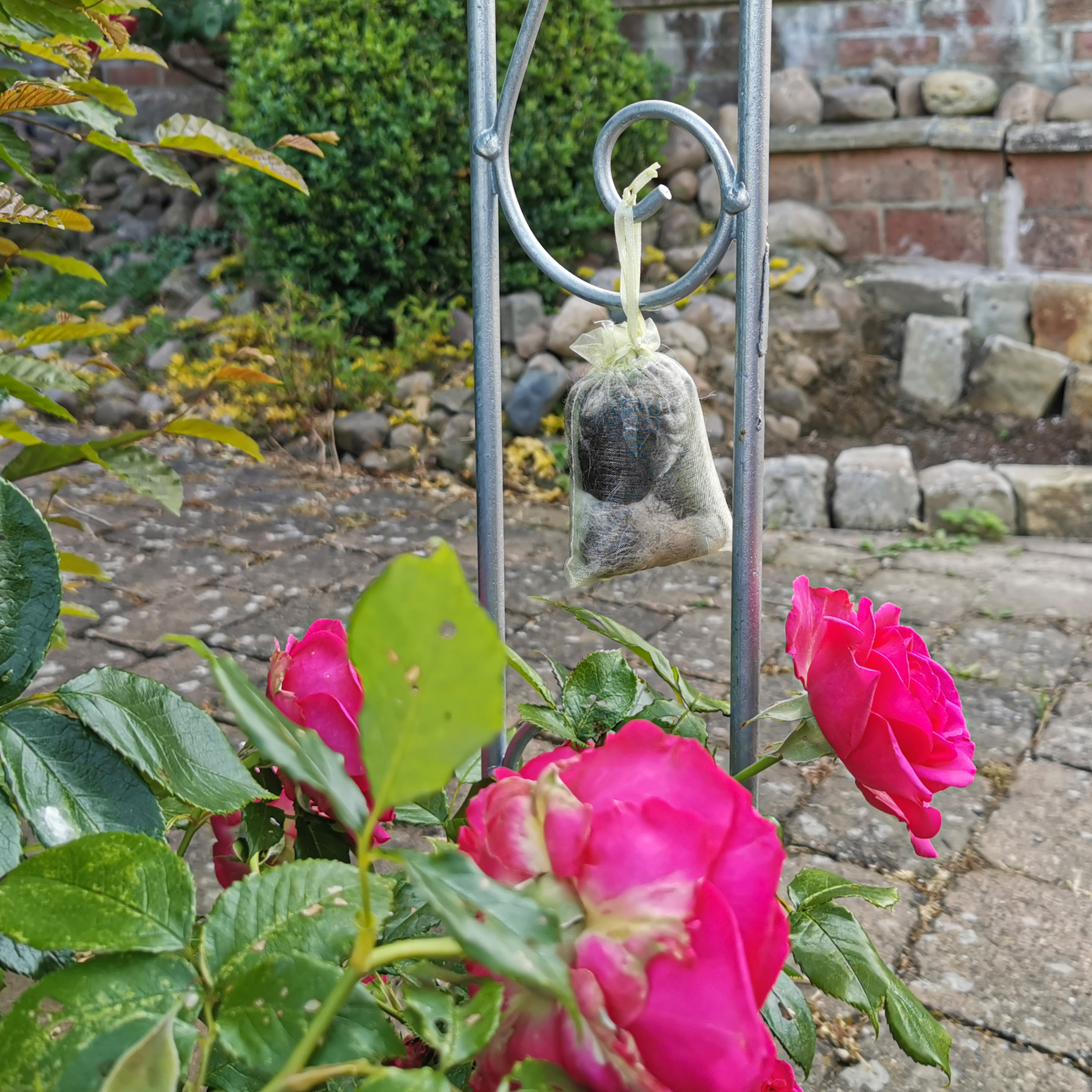 Blumenbeete oder Sandkästen werden auch gerne als Katzenklo genutzt. 