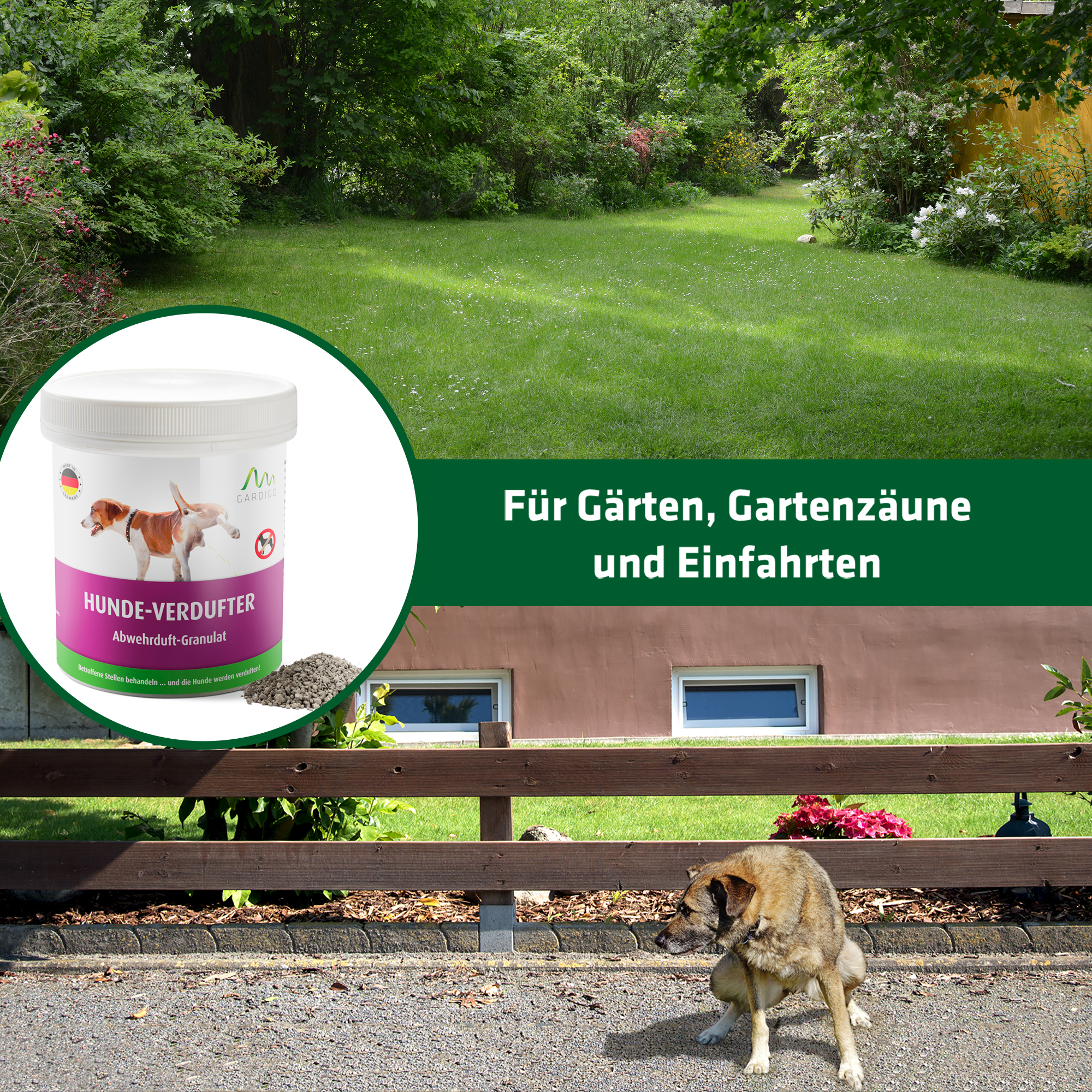 Hunde von Garten und Grundstück vertreiben mit dem Granulat von GARDIGO