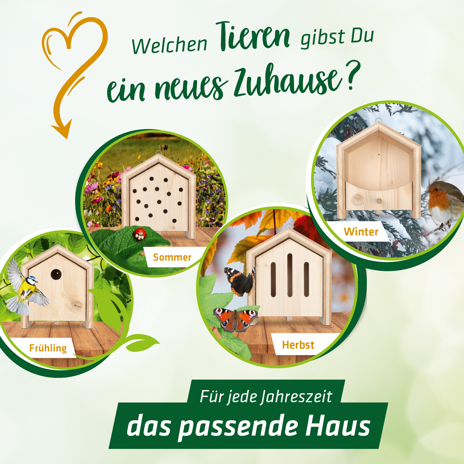 Je nach Futterart platzieren Sie das Futterhaus in bodennähe für Weichfutter oder hoch oben mit einem Körnergemisch. 