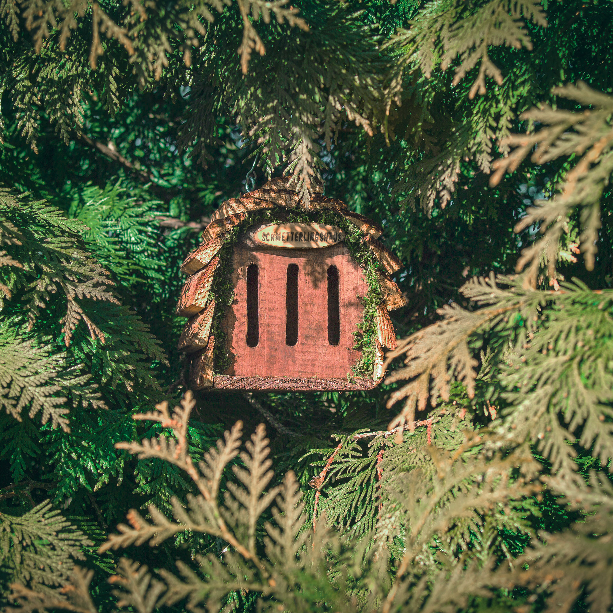 Befüllen Sie das Haus mit Lavendel oder Brennnessel denn dies lockt die Schmetterlinge an. 