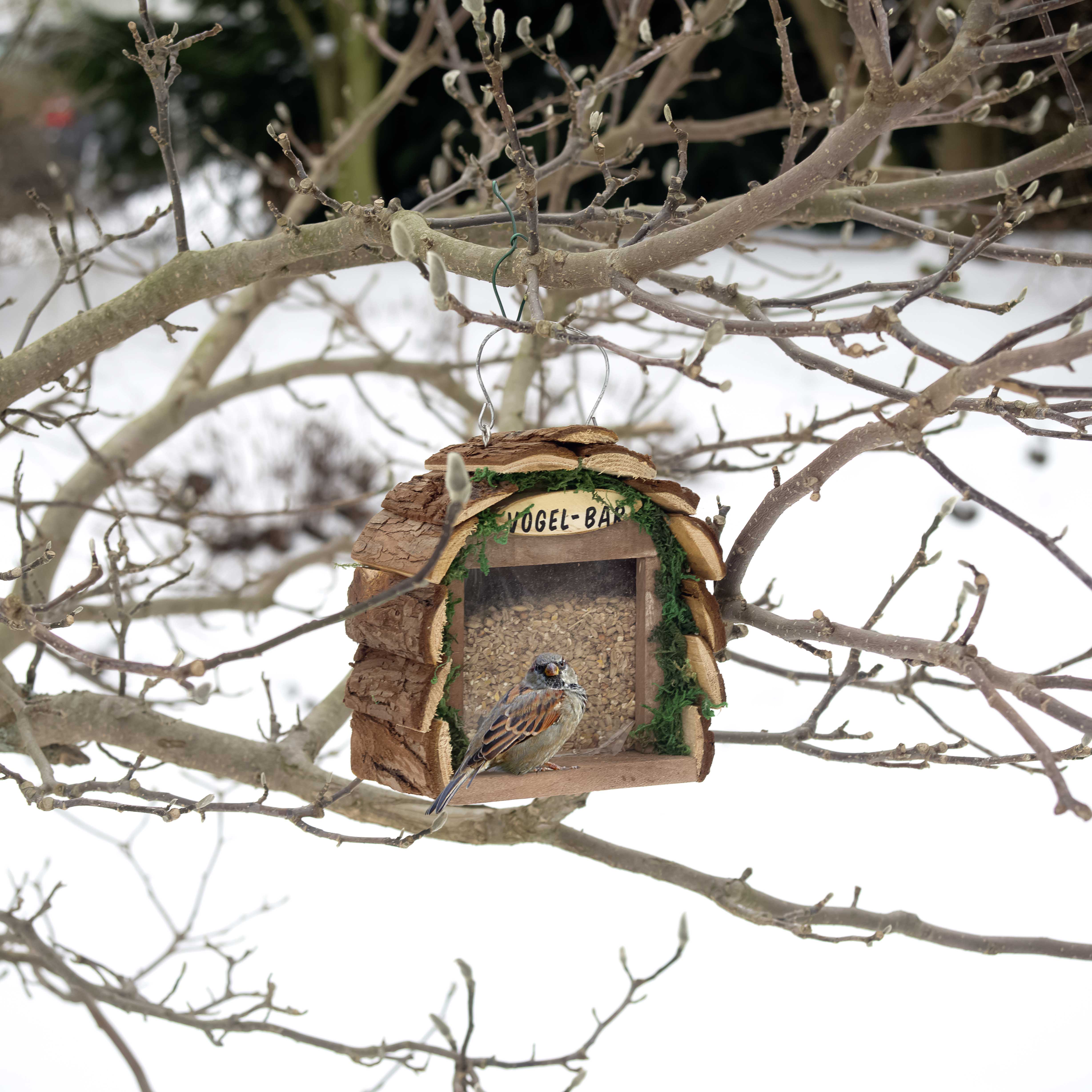 Diese Bar sorgt für ausreichendes, trockenes Futter für Vögel im Winter. 