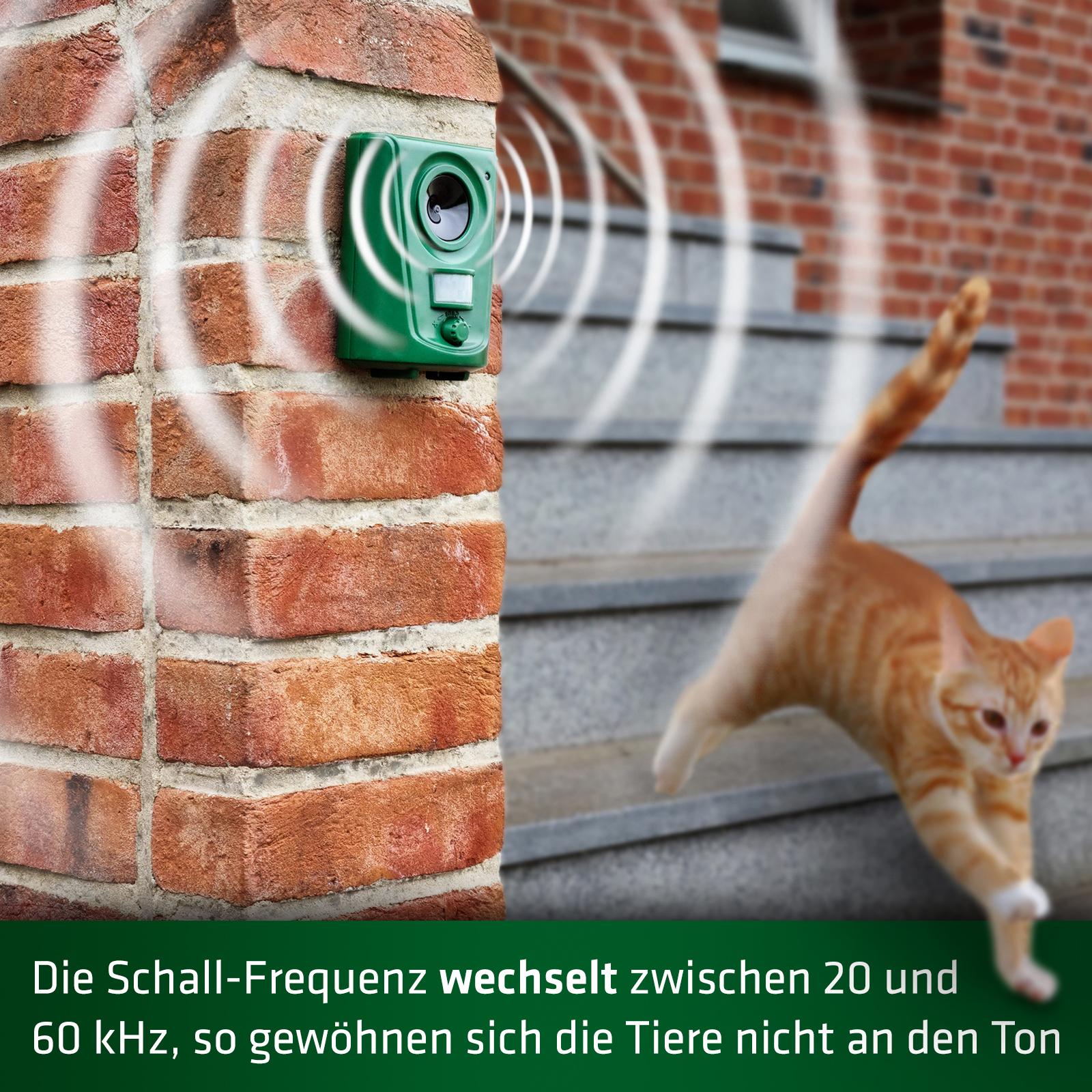 Die Ultraschall-Töne, die der Katzenschreck abgibt, ändern sich ständig in ihrer Frequenz, um dem Gewöhnungseffekt vorzubeugen.