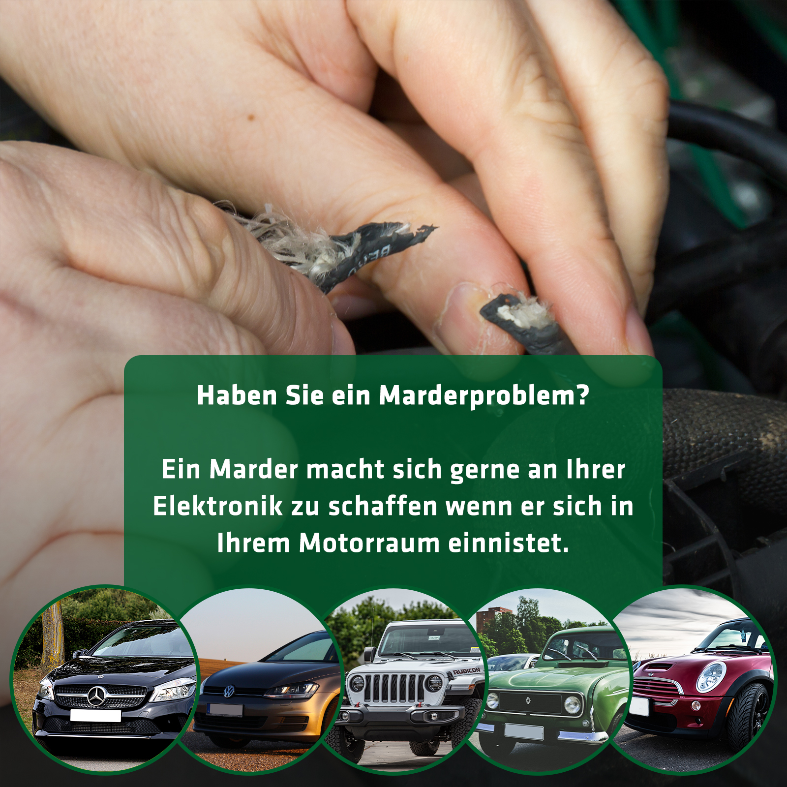 Bei Marderproblemen brauchen Sie das Marderspray von GARDIGO