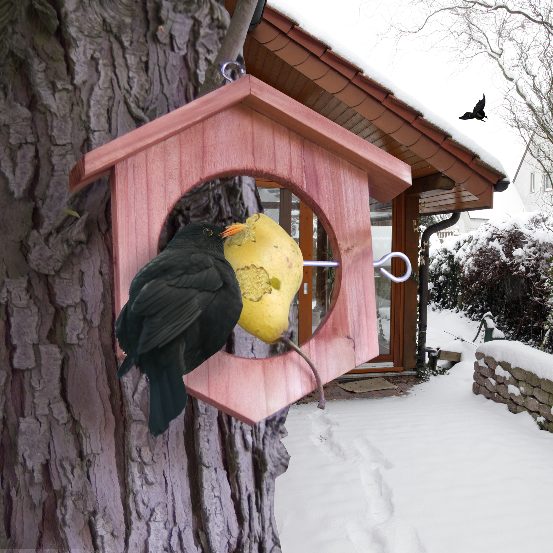 Die Apfel Futterstation muss aber nicht mit Äpfel bestückt werden. Auch Meisenknödel oder Birnen werden gerne angenommen. 