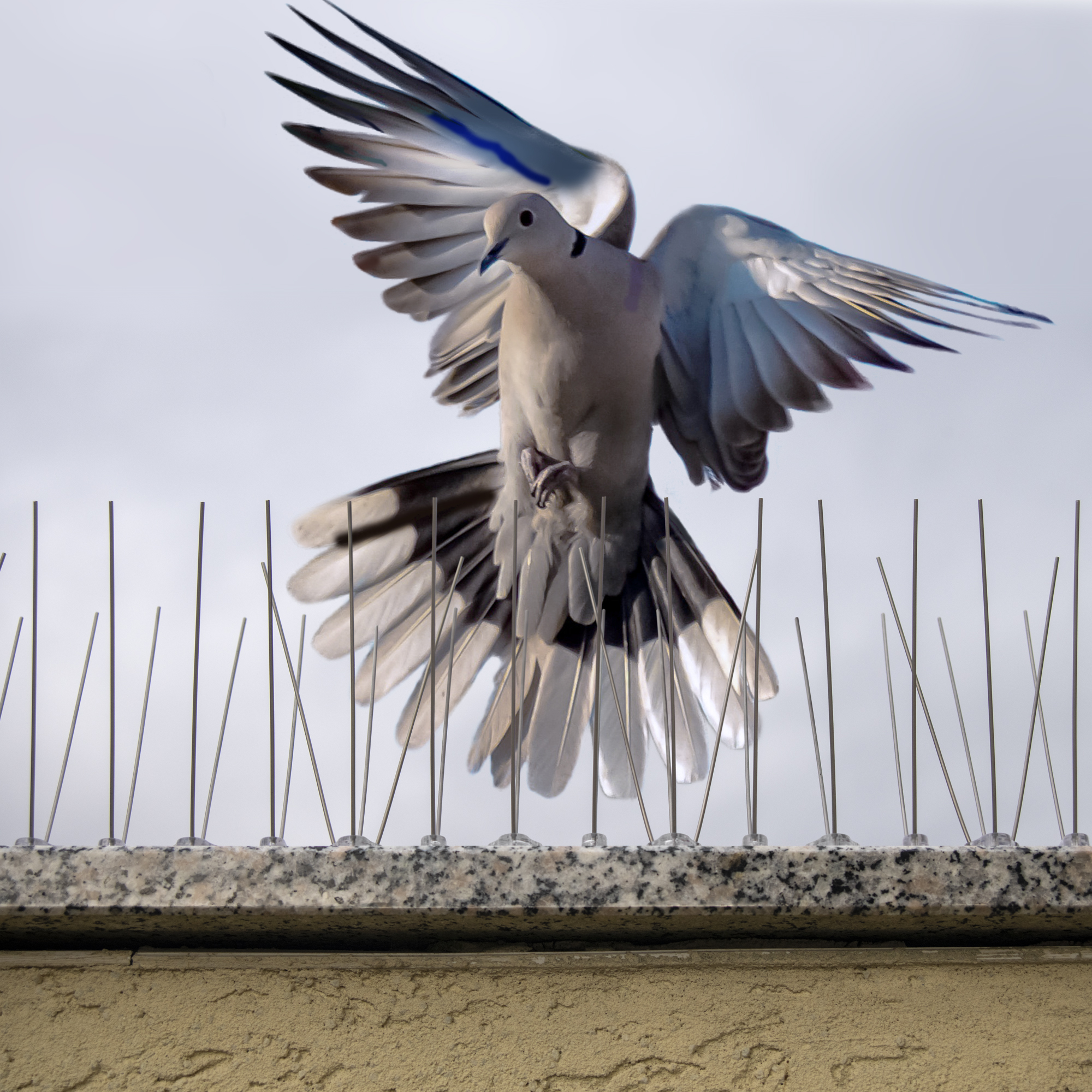 Die Anflug-Barriere dient nur zum Verhindern des Landens und nicht dazu den Tieren zu schaden. 