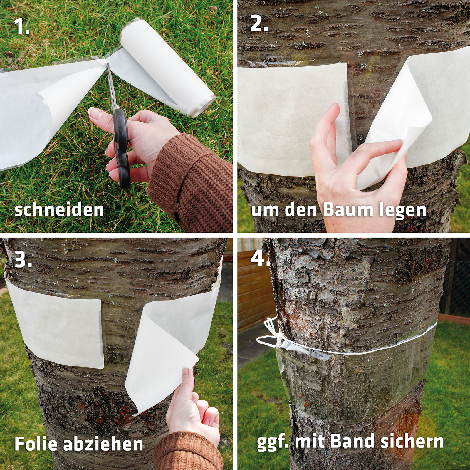 Der Baum-Leim-Ring lässt sich in vier einfachen Schritten an jedem Baum befestigen. 