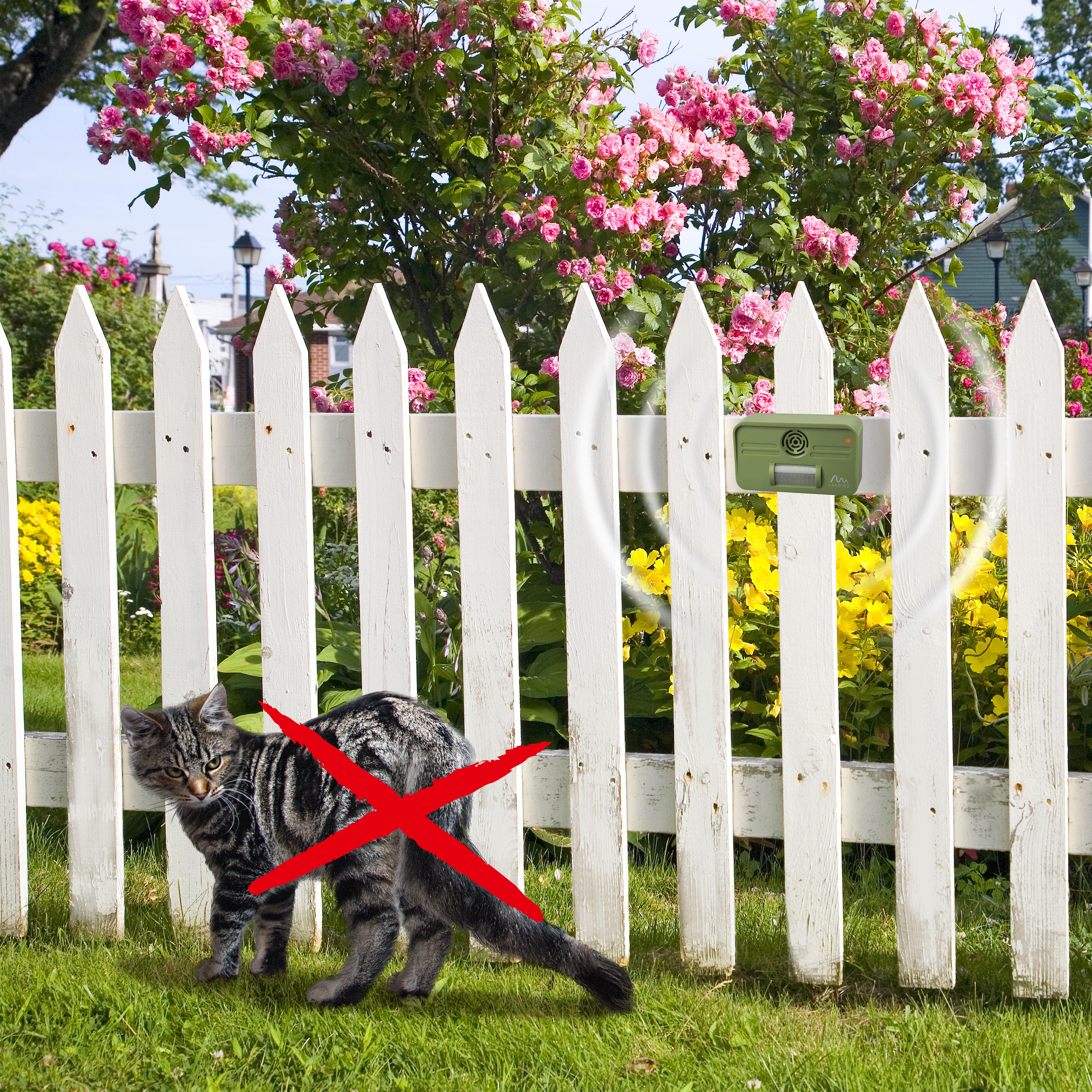 Katzen und Hunde werden einen großen Bogen um das Gerät machen. 