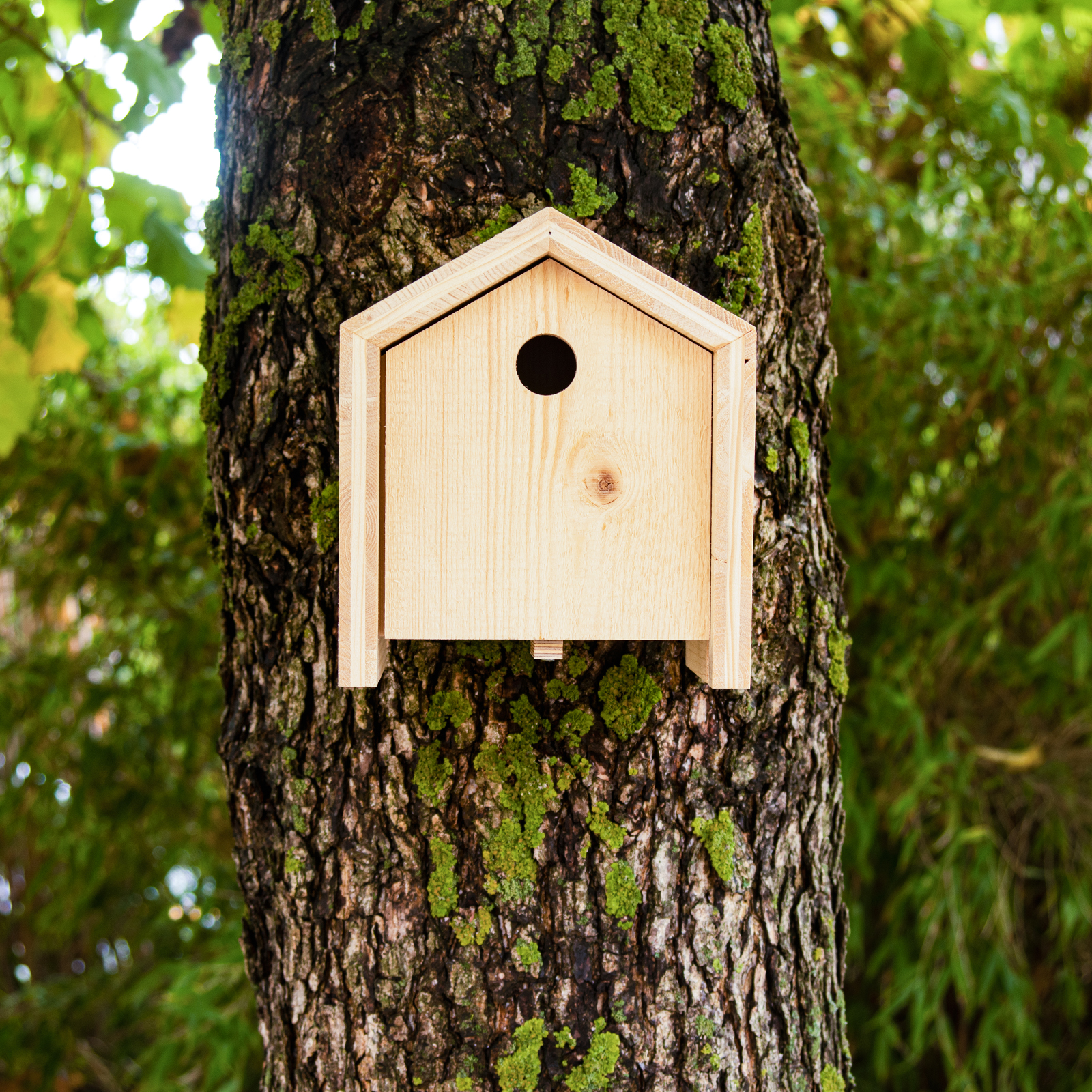 Der Grundkorpus ist mit einem Haken versehen um das Haus auch aufzuhängen. 