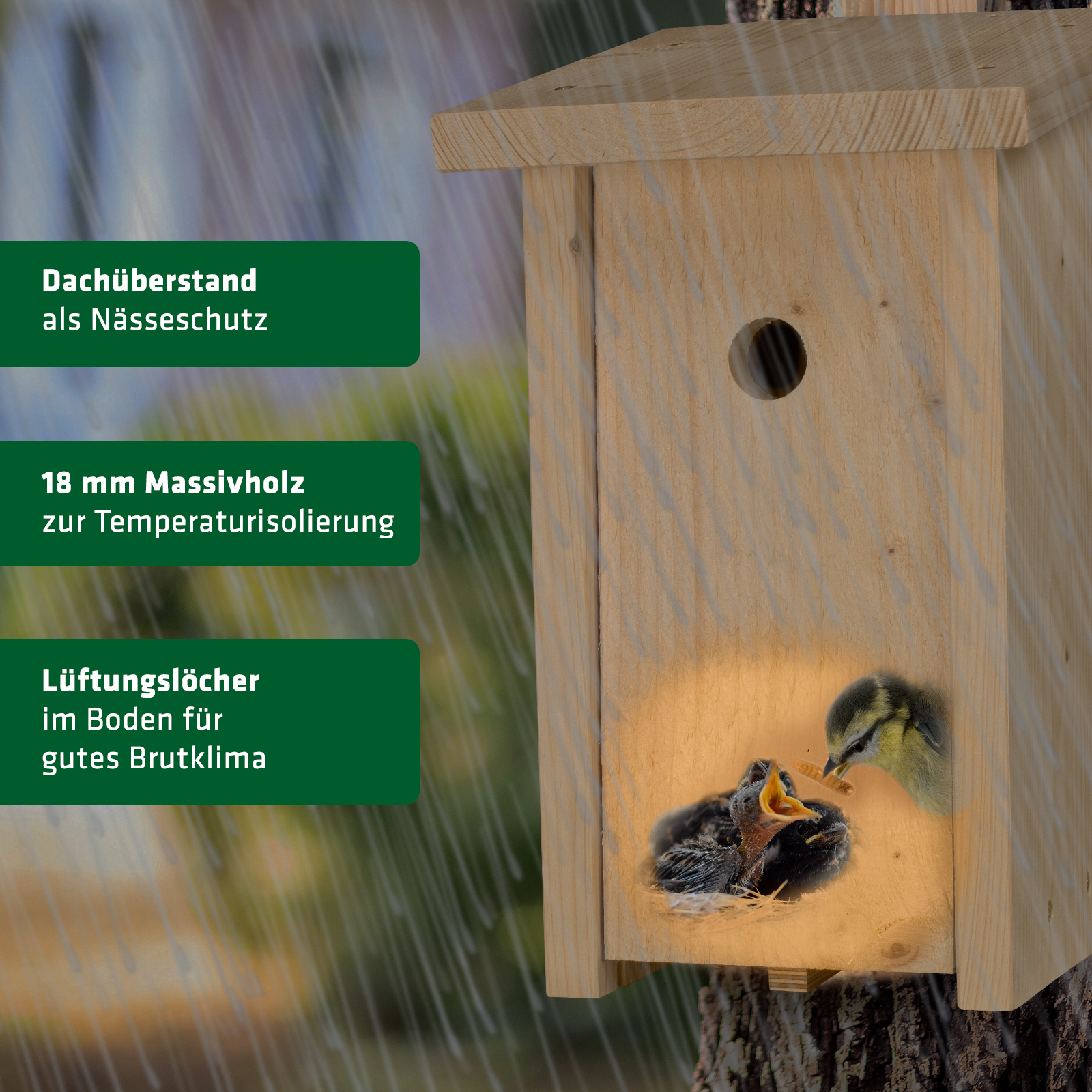 Durch den Dachüberstand wird das Nest vor Nässe geschützt und durch die Lüftungslöcher wird ein gutes Brutklima geschaffen. 