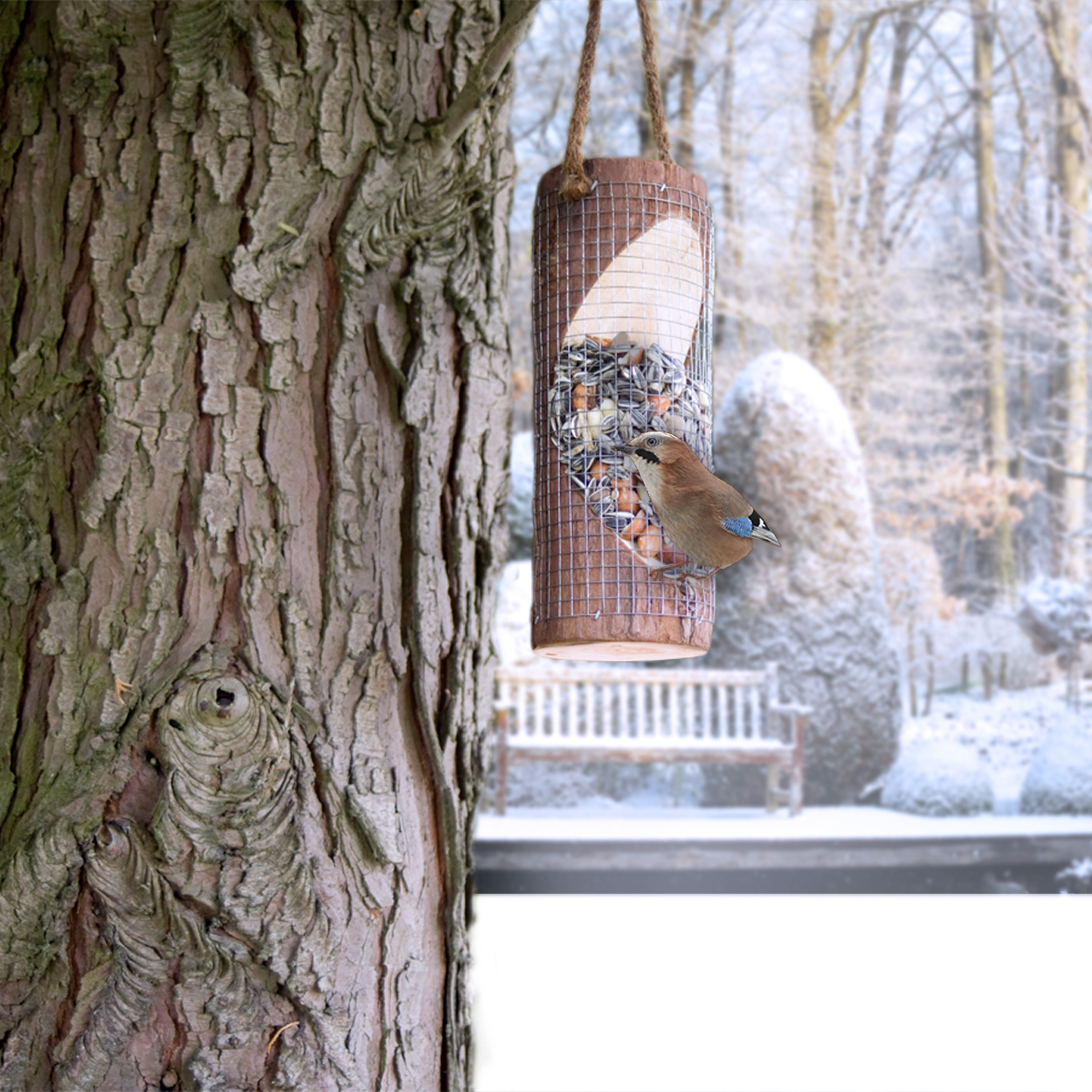 Mit einer bunten Körnermischung locken Sie viele verschiedene Vogelarten in Ihren Garten. 