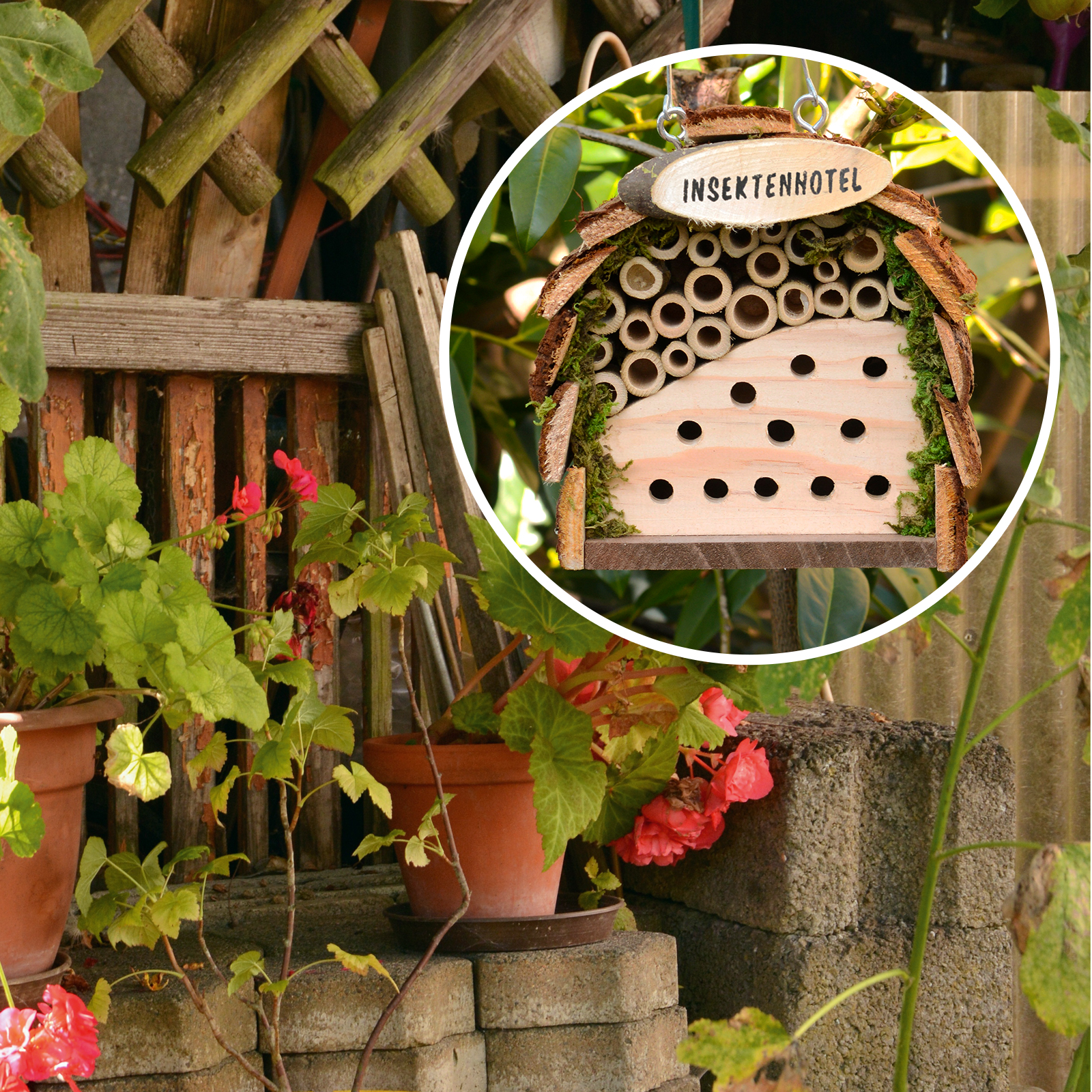 Wenn das Hotel in der Nähe von Blumen, Sträuchern und Büschen steht fühlen sich die Insekten besonders wohl.