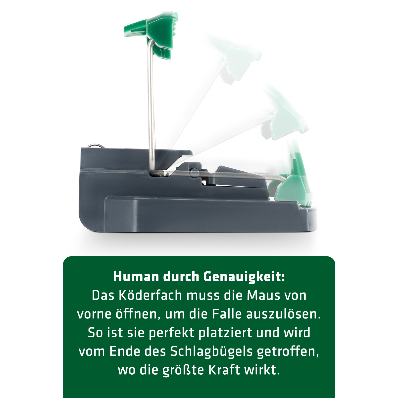 Diese Mausefalle wurde so designed, dass der Bügel genau an der richtigen Stelle zuschlägt. Human durch Genauigkeit. 