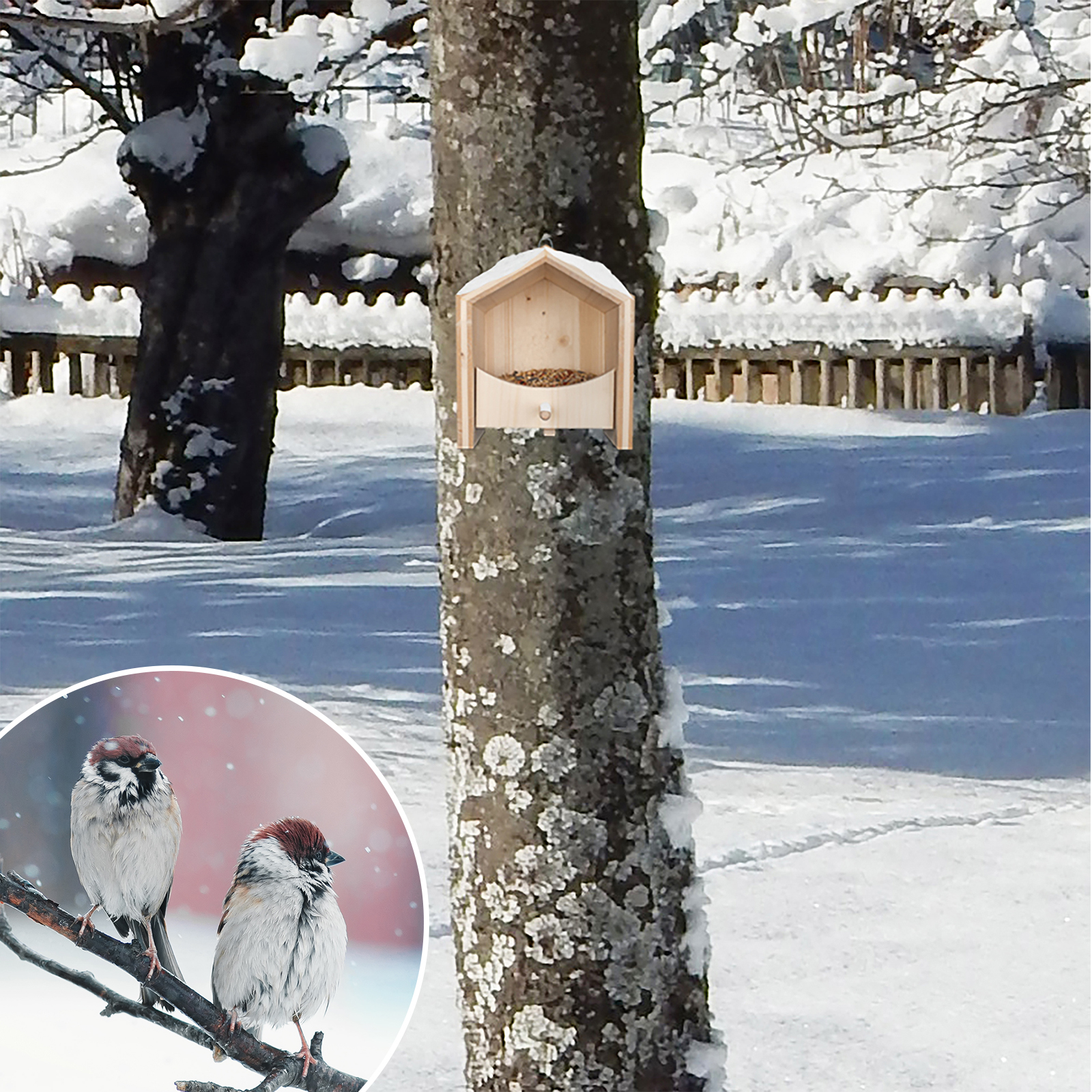 Besonders im Winter ist es schwer für die Gartenvögel genug Futter zu finden. 