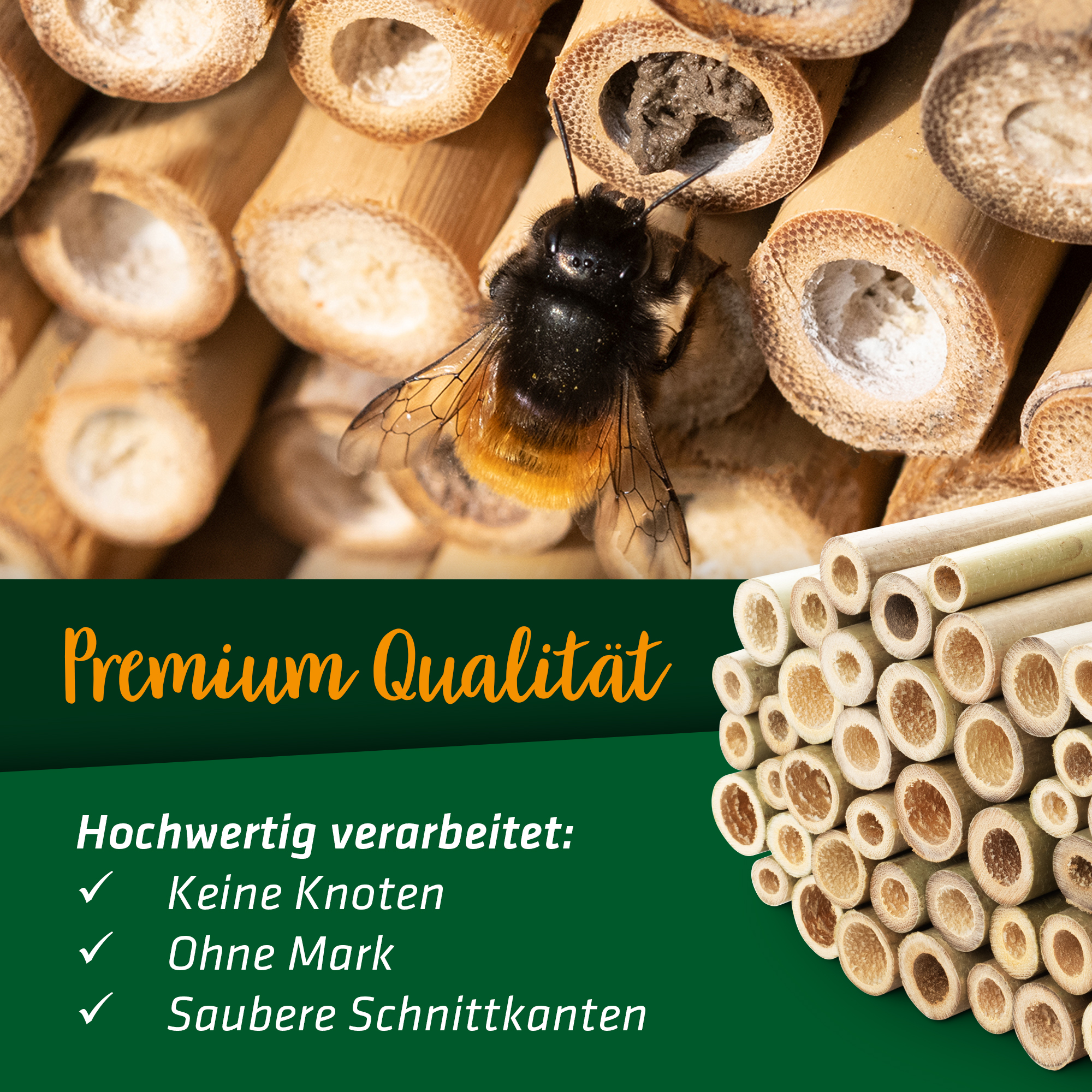 Premium-Qualität ohne Mark & Knoten