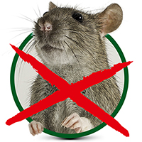 Rattenfalle kaufen, Schlagfallen & Lebendfallen