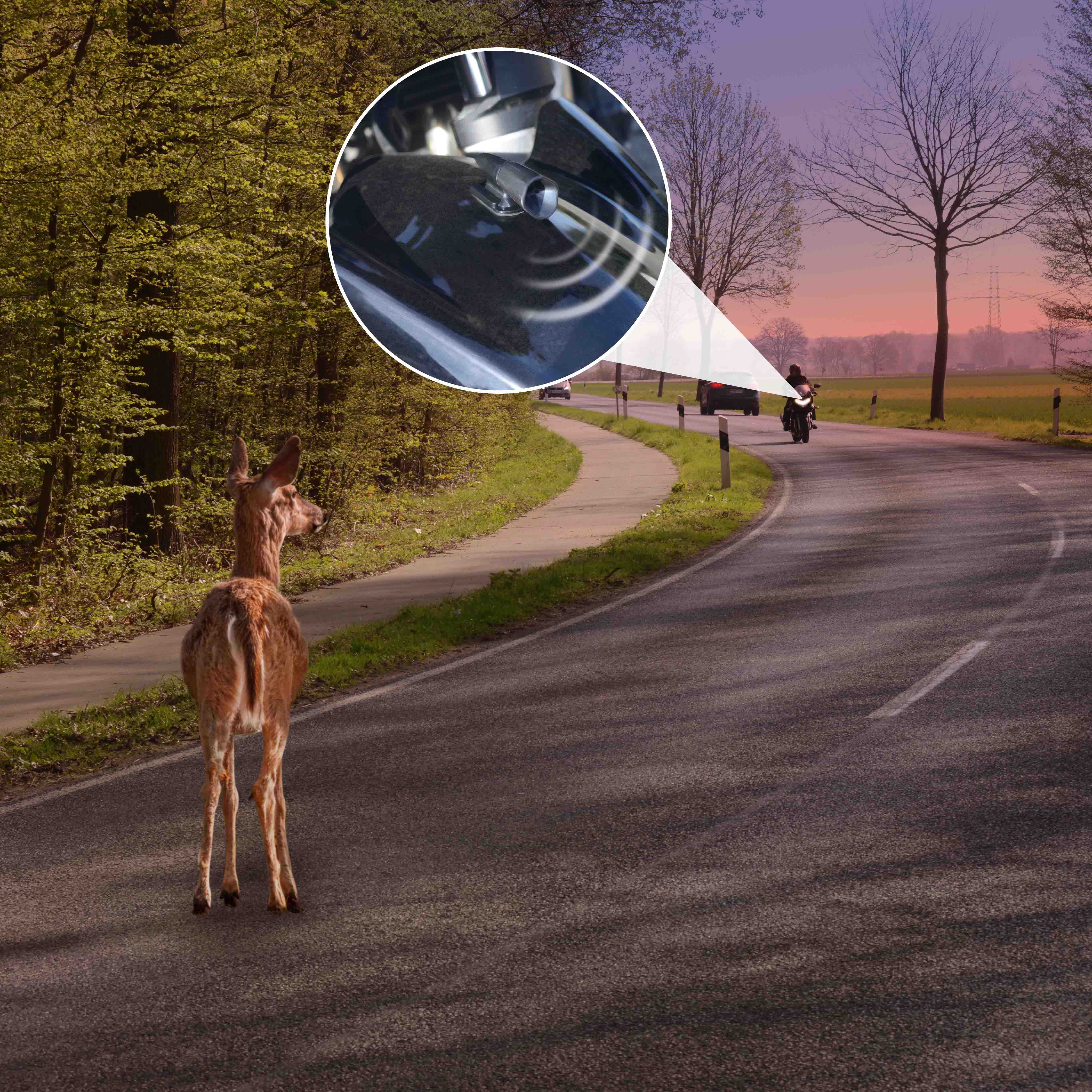 8Pcs Sparen ein Reh Pfeifen Deer Warnung Geräte für Autos & Motorräder Suv  Atv Deer Kollisionen Auto Deer Warnung ultraschall Wildli