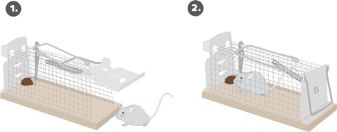 Gardigo Live Mouse Trap Lebendfalle Funktionsart Lockstoff 1 St. – Conrad  Electronic Schweiz