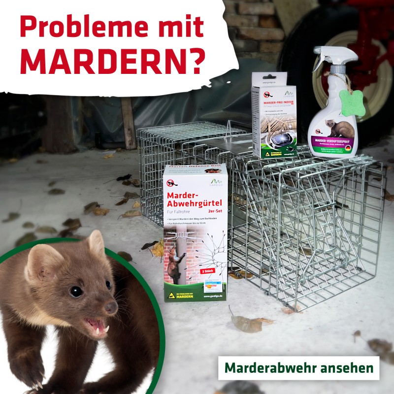 Marder/Waschbär Abwehr Set